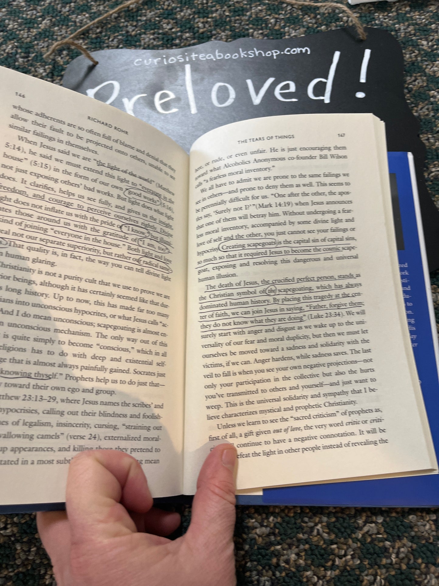 Preloved: The Tears of Things: Prophetic Wisdom for an Age of Outrage