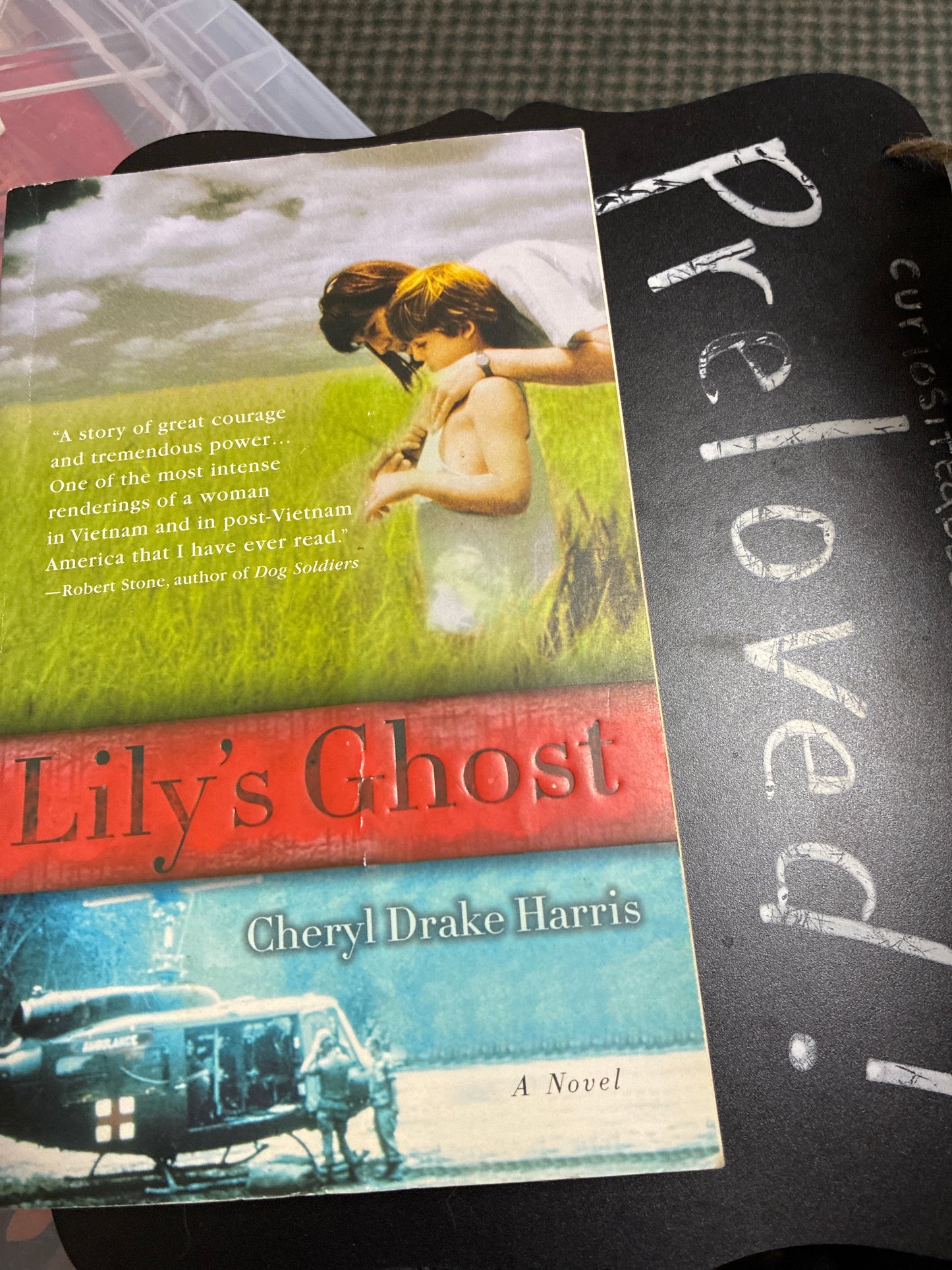 Preloved: Lily's Ghost: A Novel