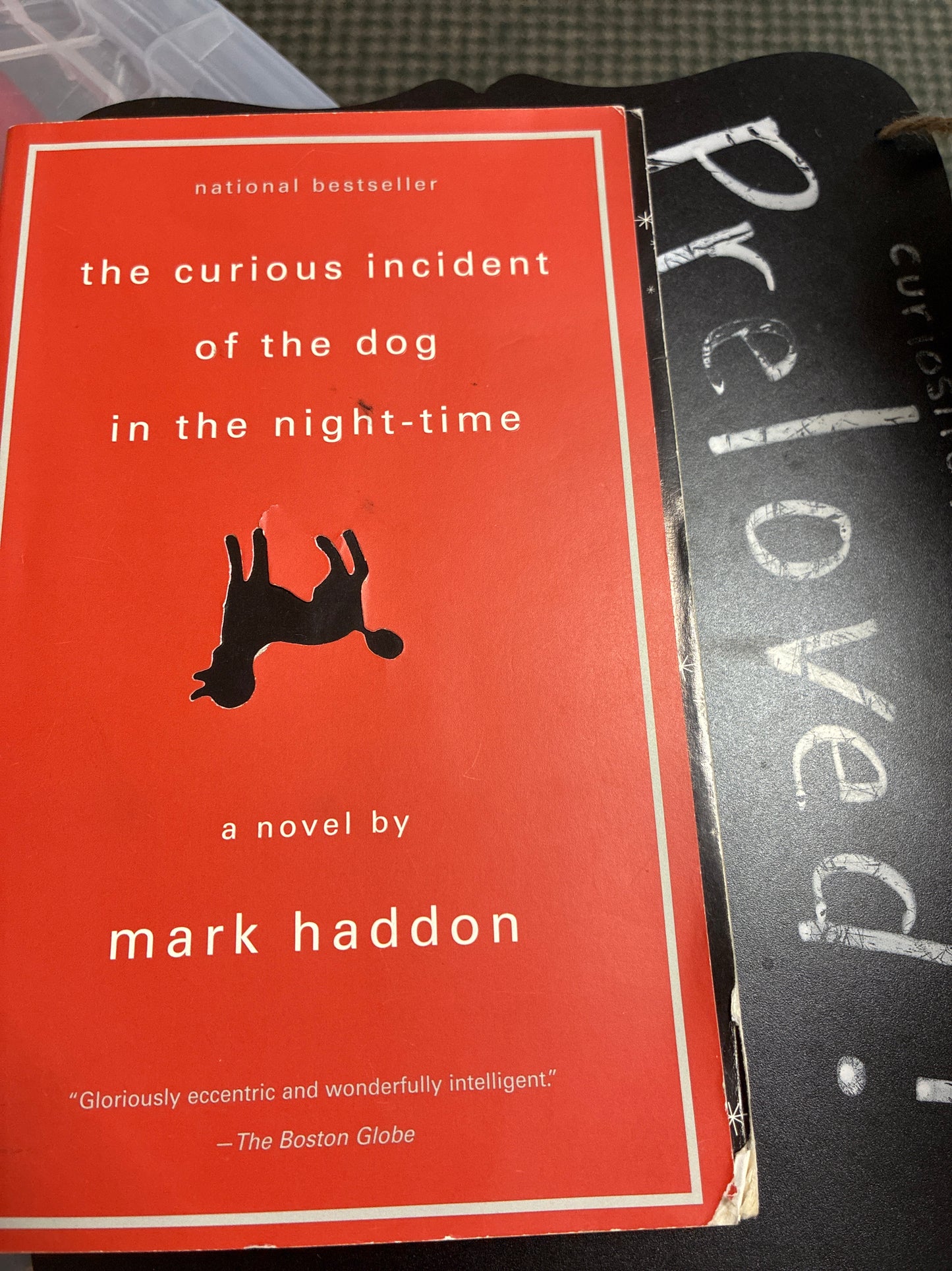 Preloved: The Curious Incident of the Dog in the Night-Time