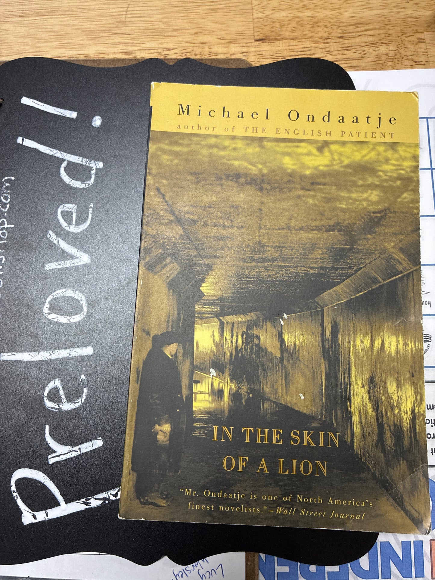 Preloved: In the Skin of a Lion
