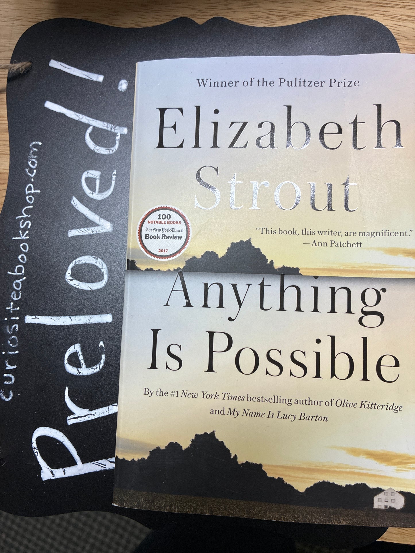 Preloved: Anything Is Possible: A Novel