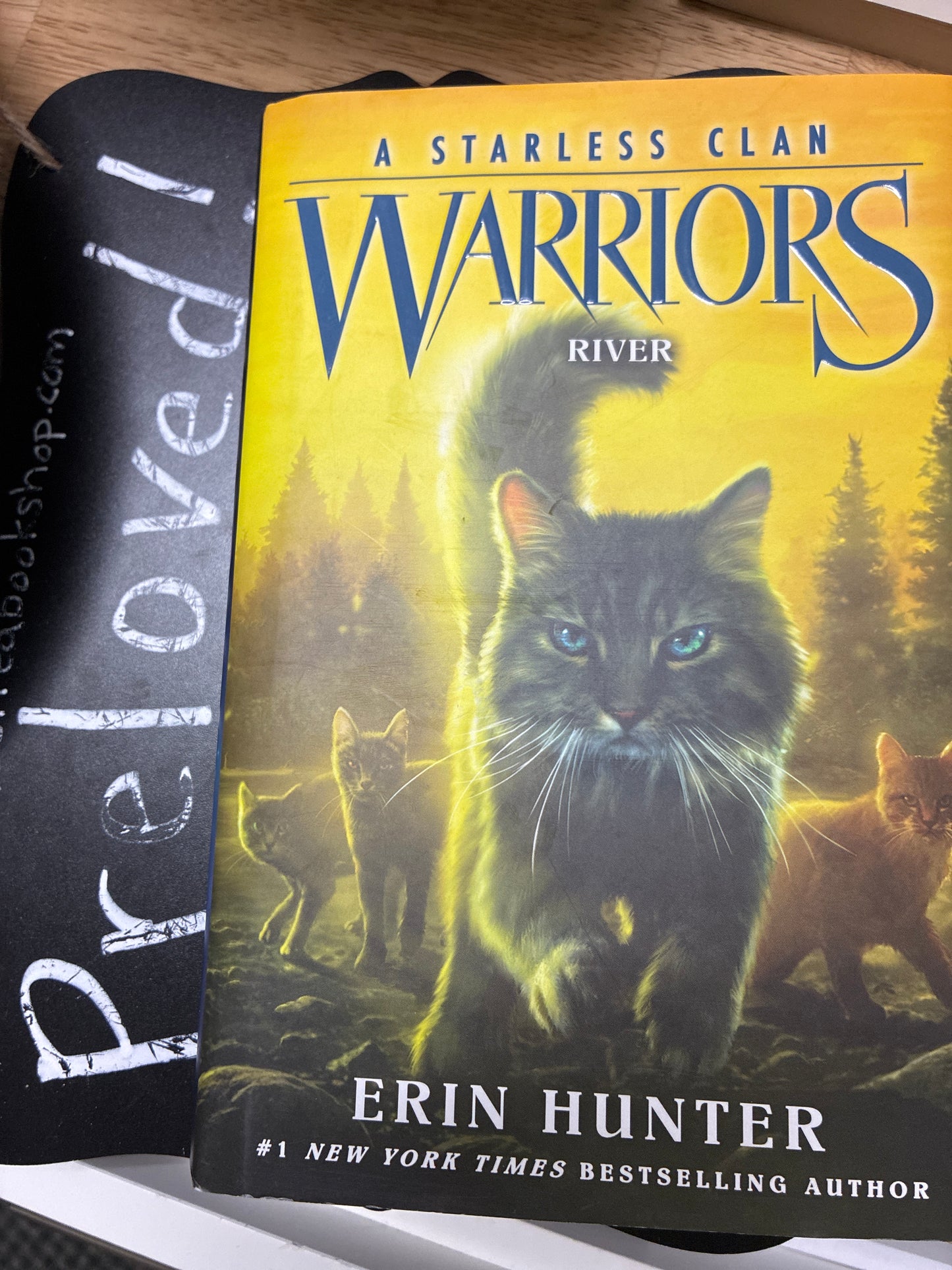 Preloved: Warriors: A Starless Clan #1: River: An Epic Animal Warrior Adventure Novel for Children (Ages 8–12)