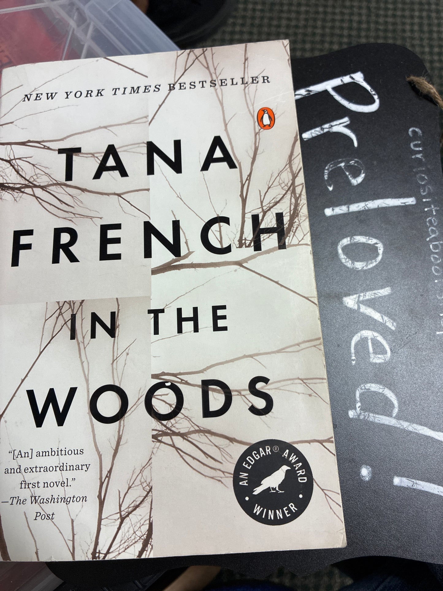 Preloved: In the Woods: A Novel (Dublin Murder Squad)