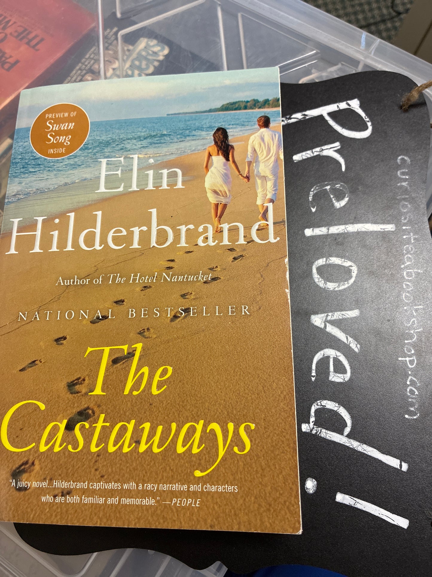 Preloved: The Castaways: A Novel