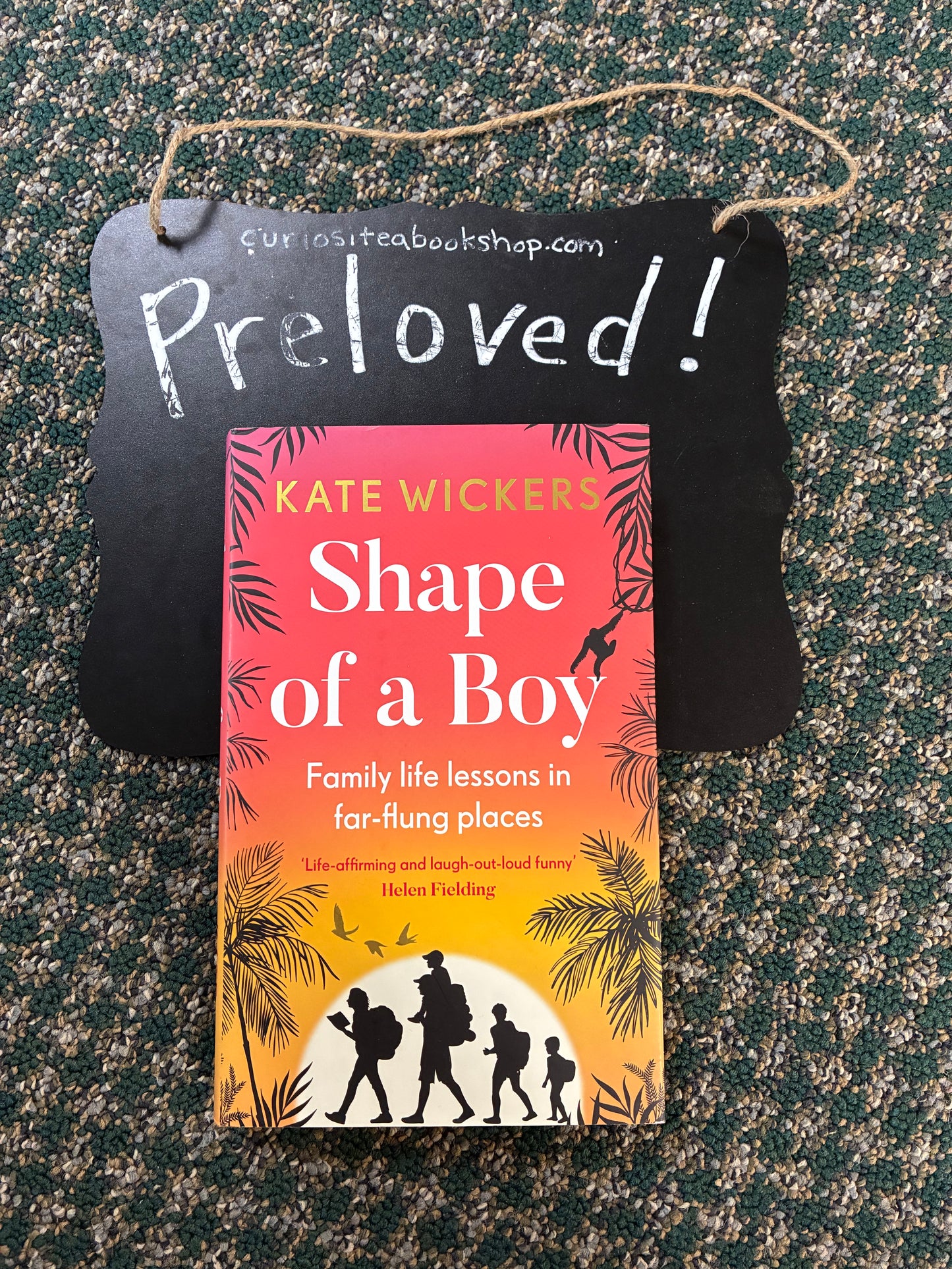 Preloved: Shape of a Boy: Family life lessons in far-flung places (a travel memoir)
