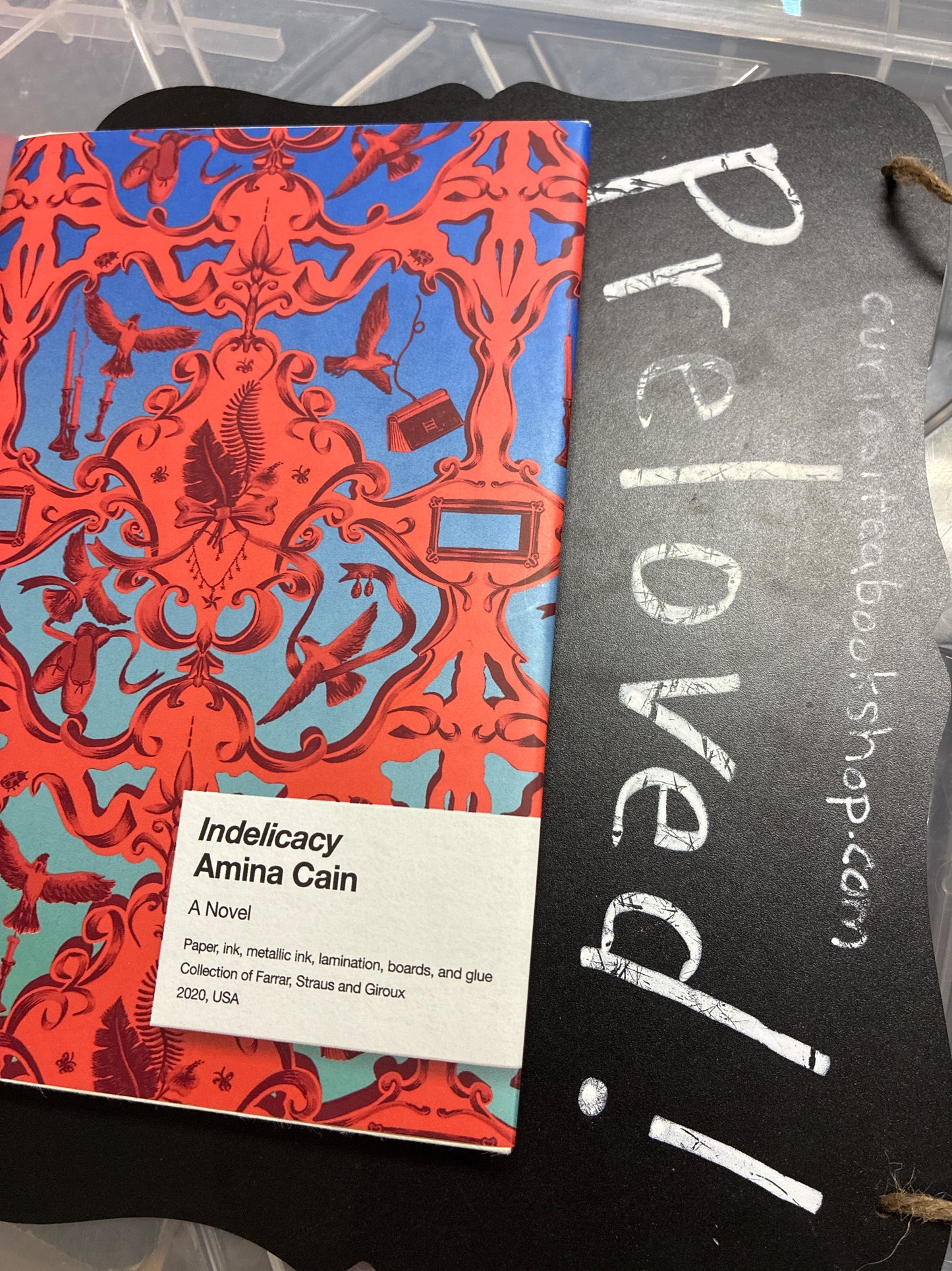 Preloved: Indelicacy: A Novel
