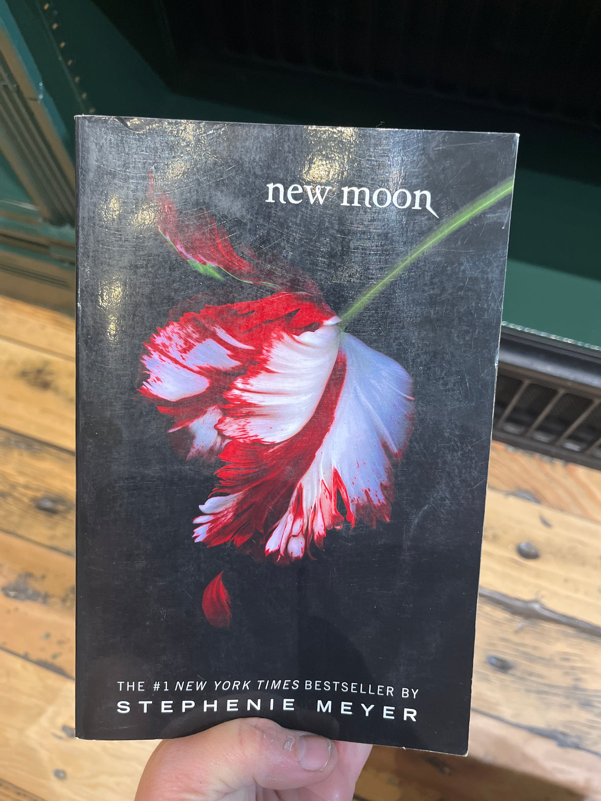 Preloved: New Moon (The Twilight Saga)