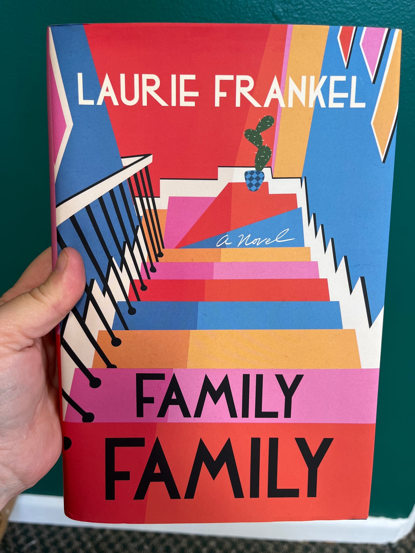 Family Family: A Novel