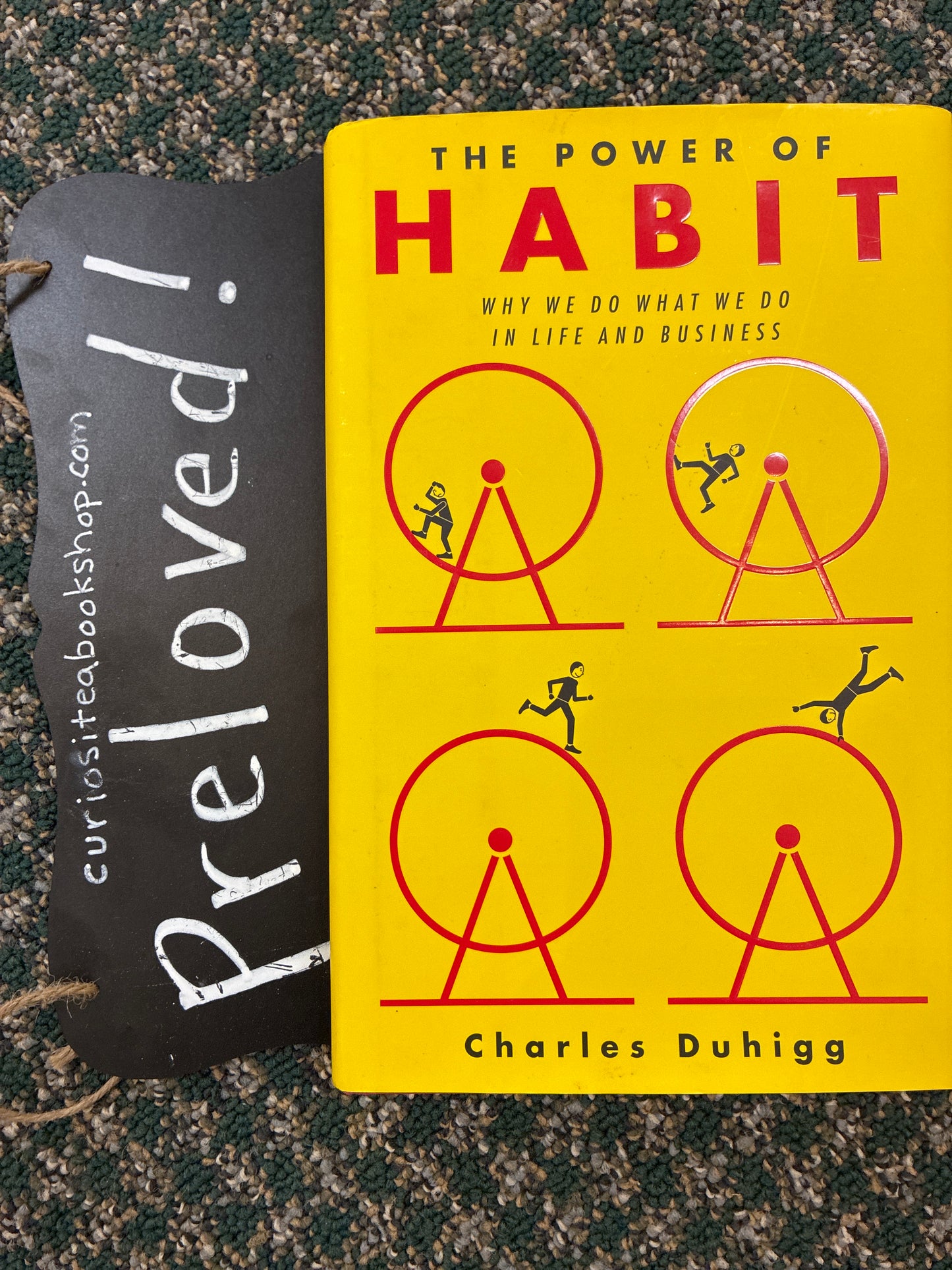 Preloved: The Power of Habit: Why We Do What We Do in Life and Business
