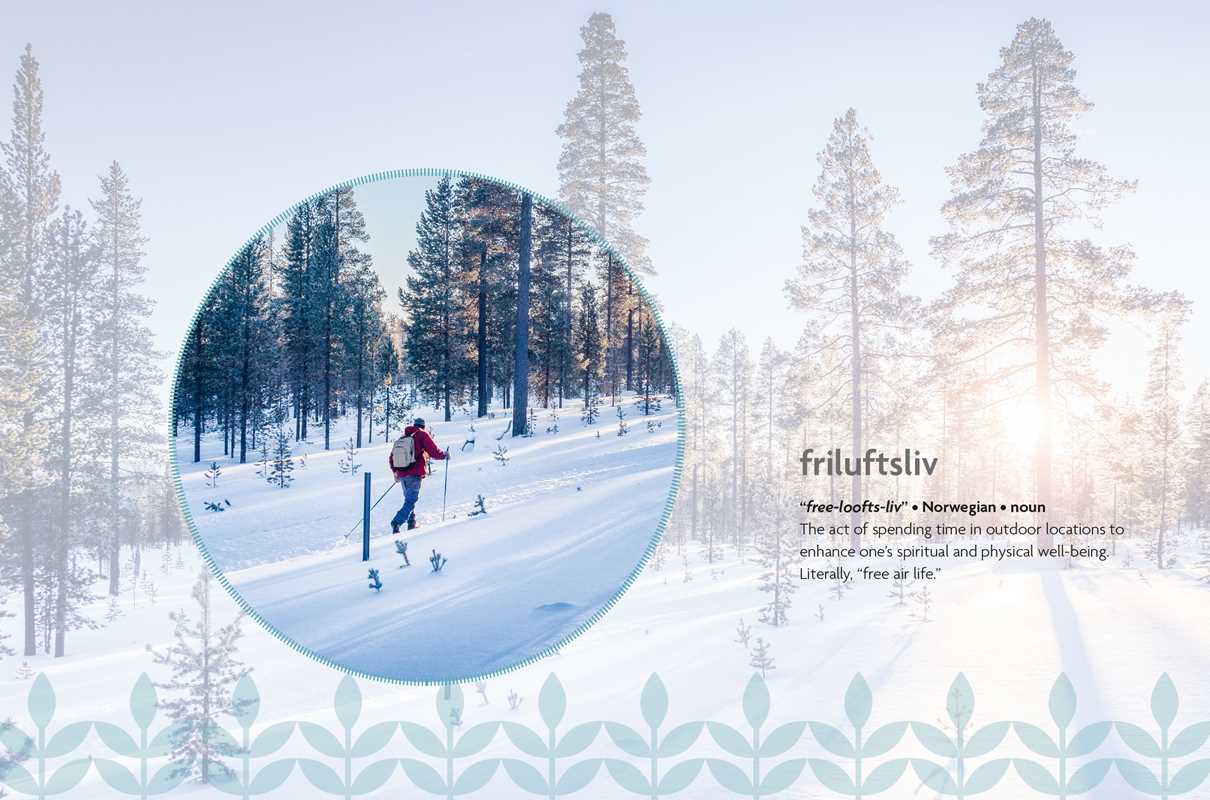 Nordic Wisdom by Elisabeth Carlsson