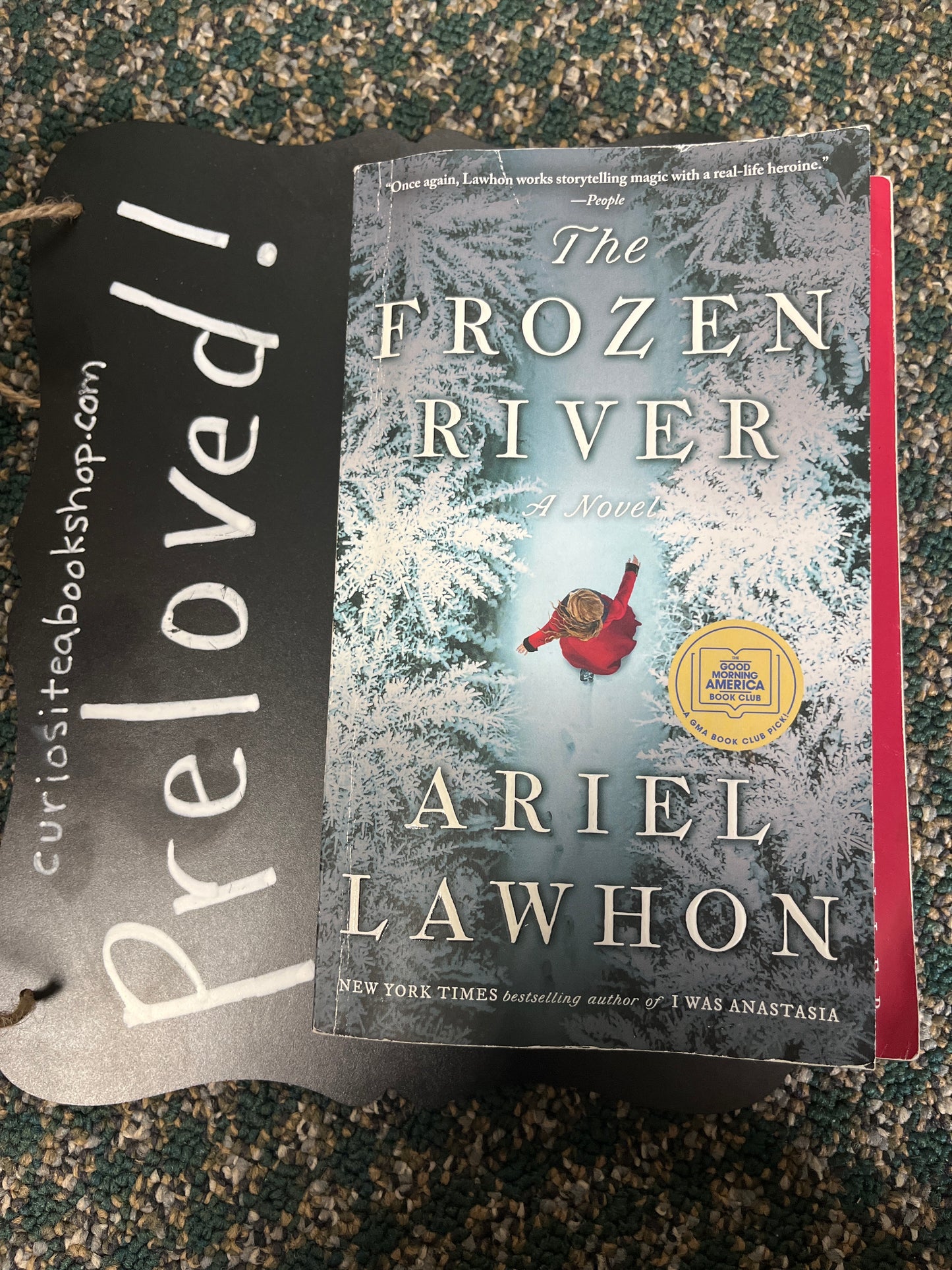 Preloved: The Frozen River: A GMA Book Club Pick: A Novel