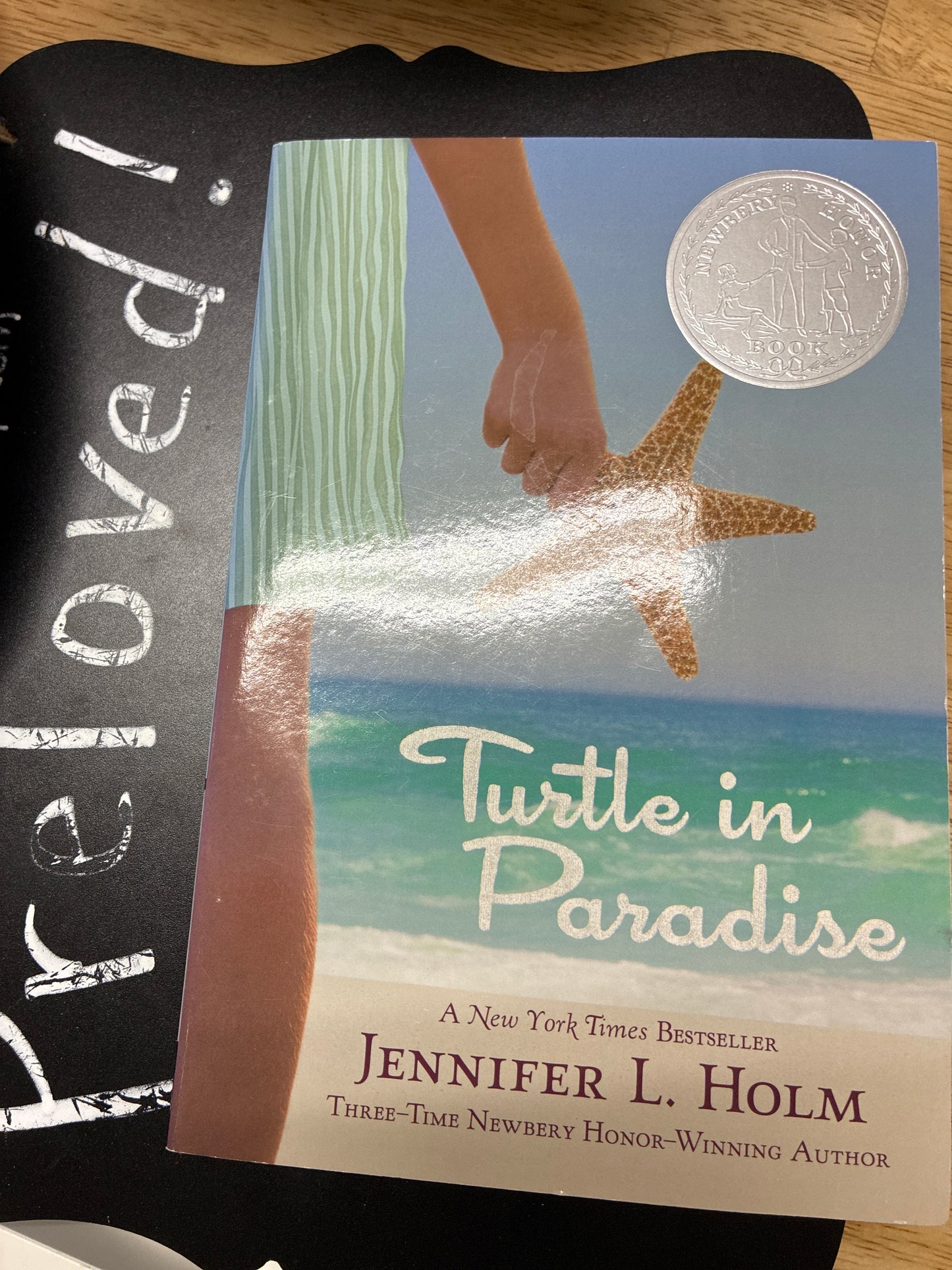 Preloved: Turtle in Paradise