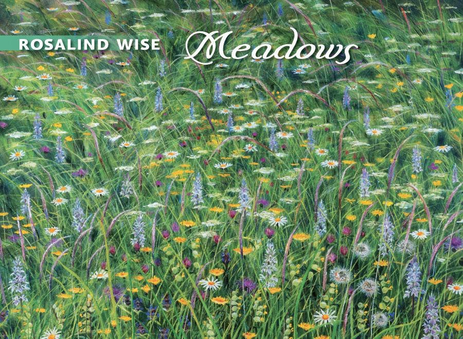 Rosalind Wise: Meadows Boxed Notecard Assortment