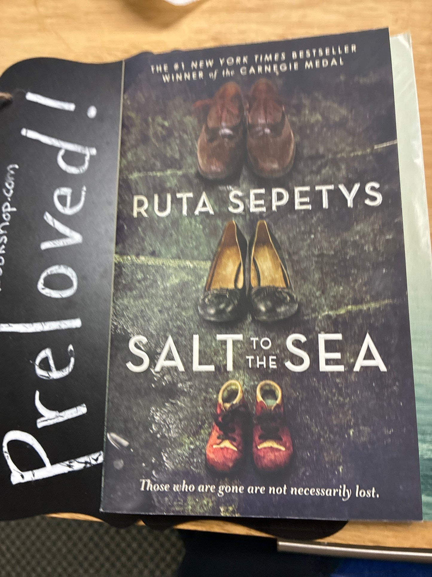 Preloved: Salt to the Sea