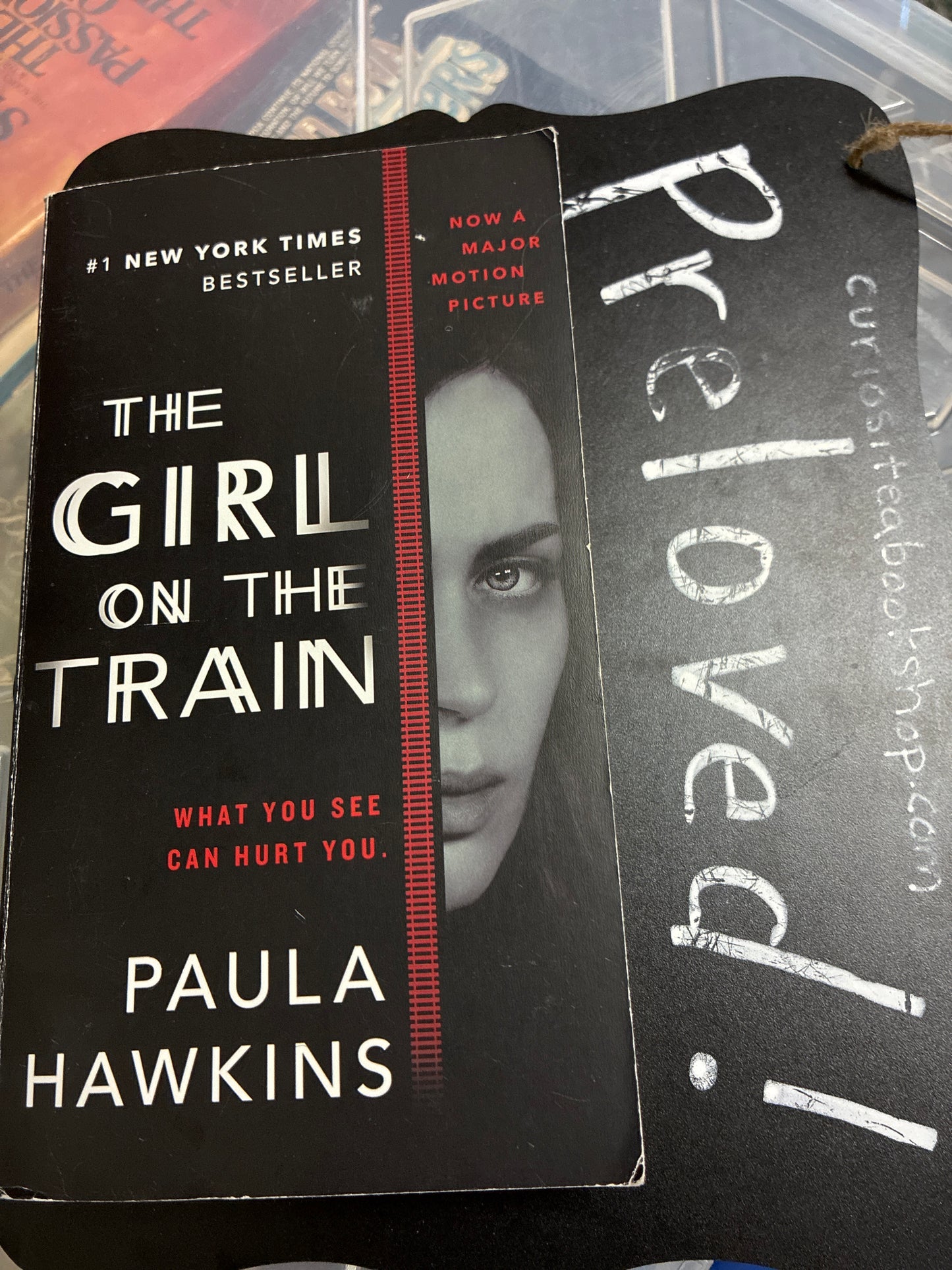Preloved: The Girl on the Train (Movie Tie-In)
