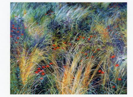 Rosalind Wise: Meadows Boxed Notecard Assortment