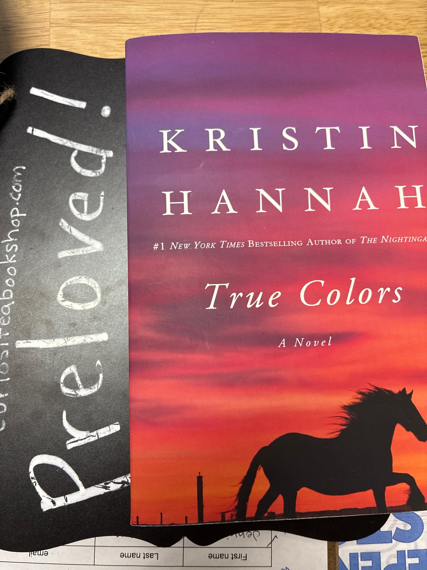 Preloved: True Colors: A Novel