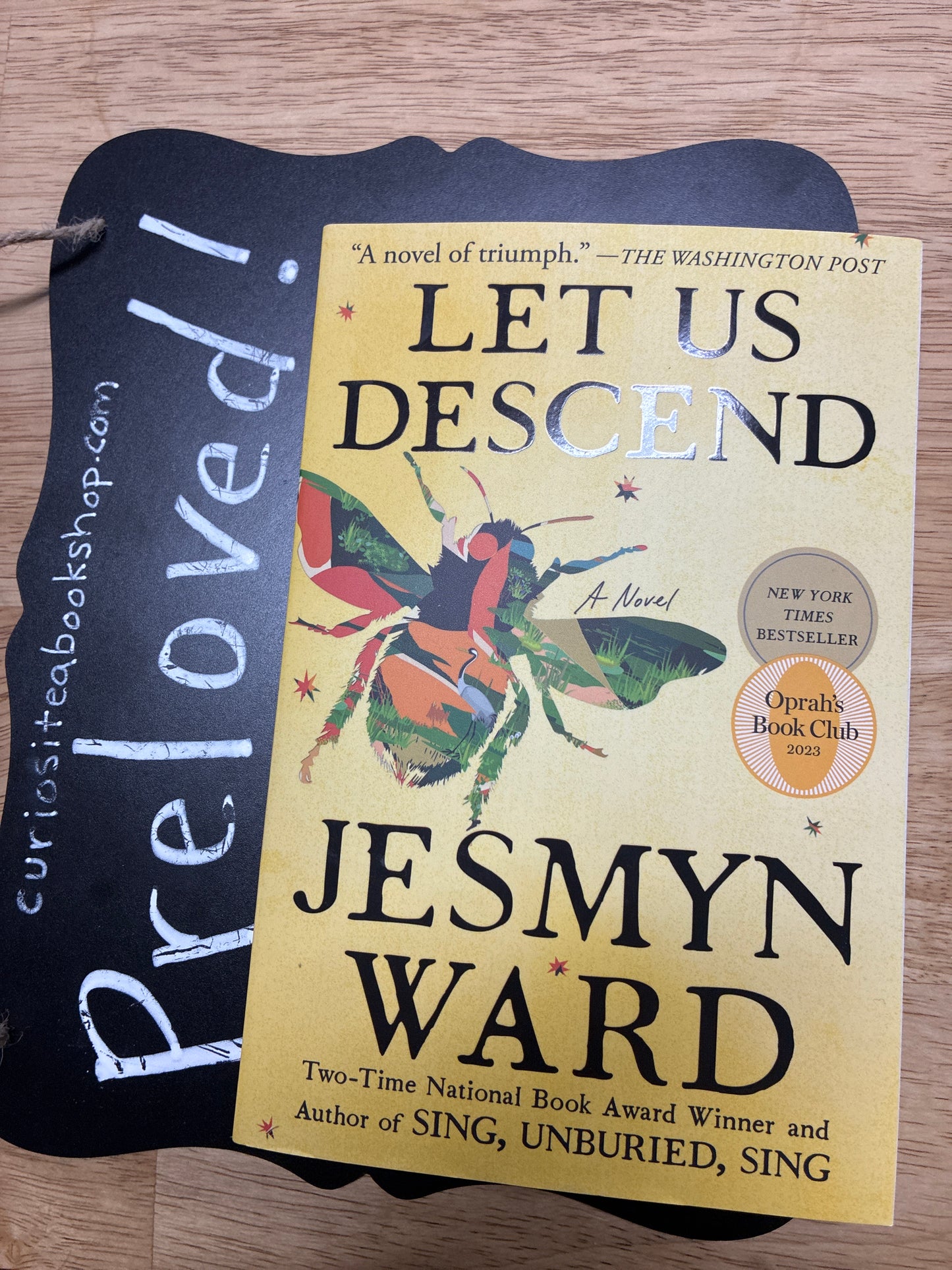 Preloved: Let Us Descend: A Novel