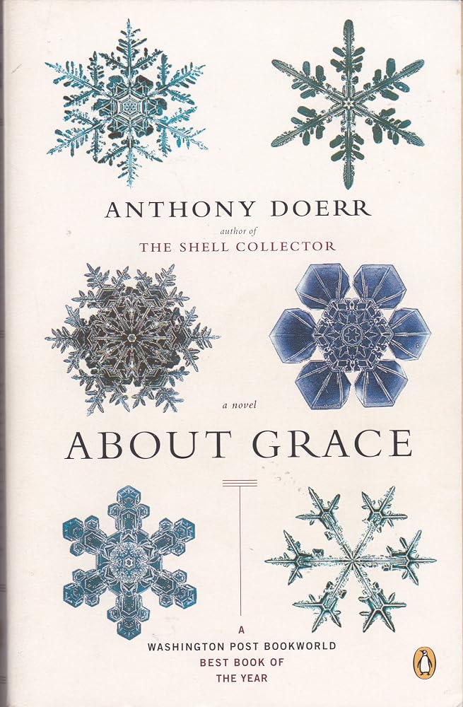 About Grace: A Novel cover image