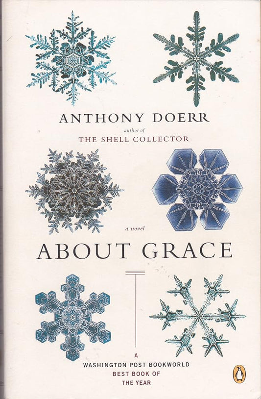 About Grace: A Novel cover image