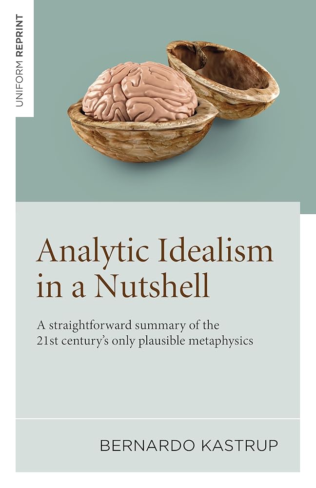 Analytic Idealism in a Nutshell: A straightforward summary of the 21st century's only plausible metaphysics cover image