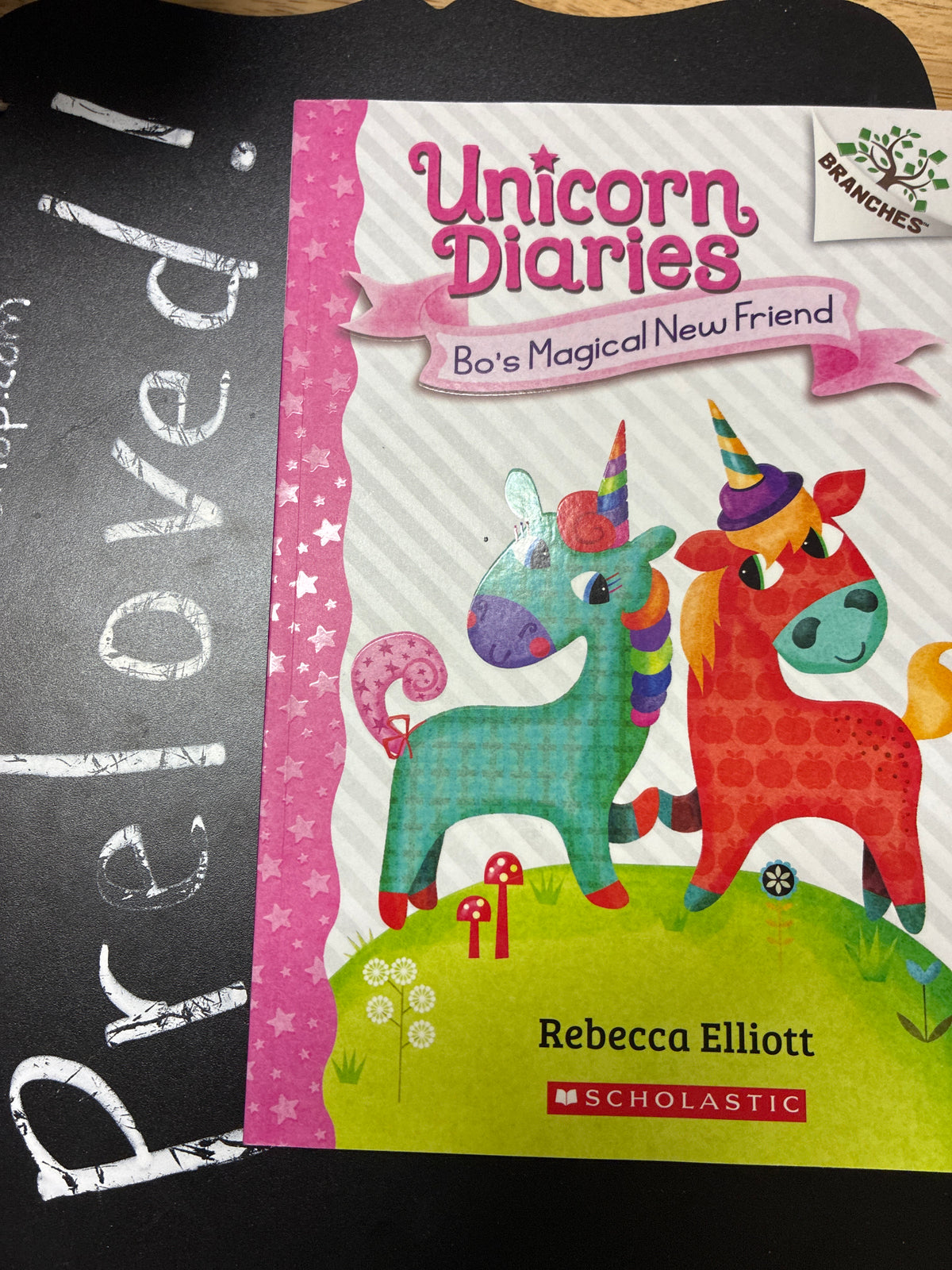 Preloved: Bo's Magical New Friend: A Branches Book (Unicorn Diaries #1)