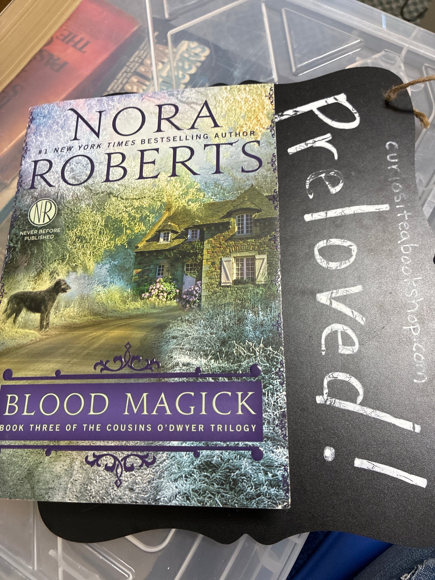Preloved: Blood Magick (Cousins O'Dwyer)