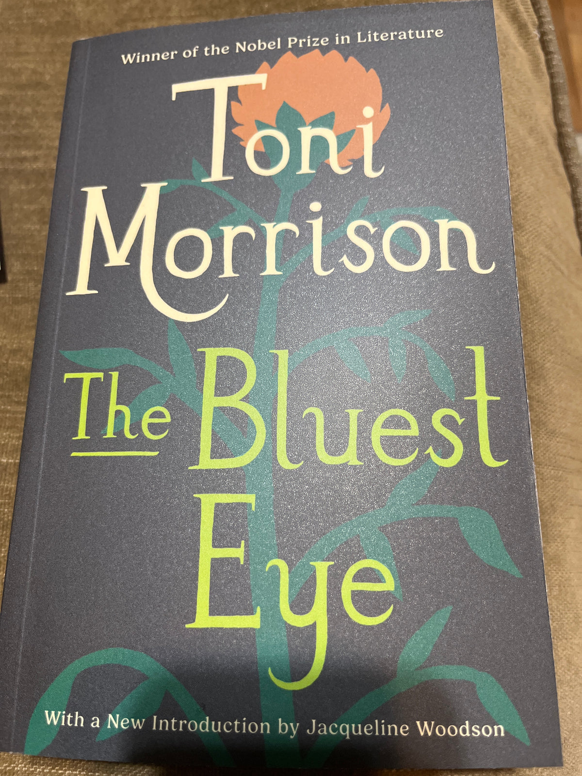 The Bluest Eye (Vintage International)