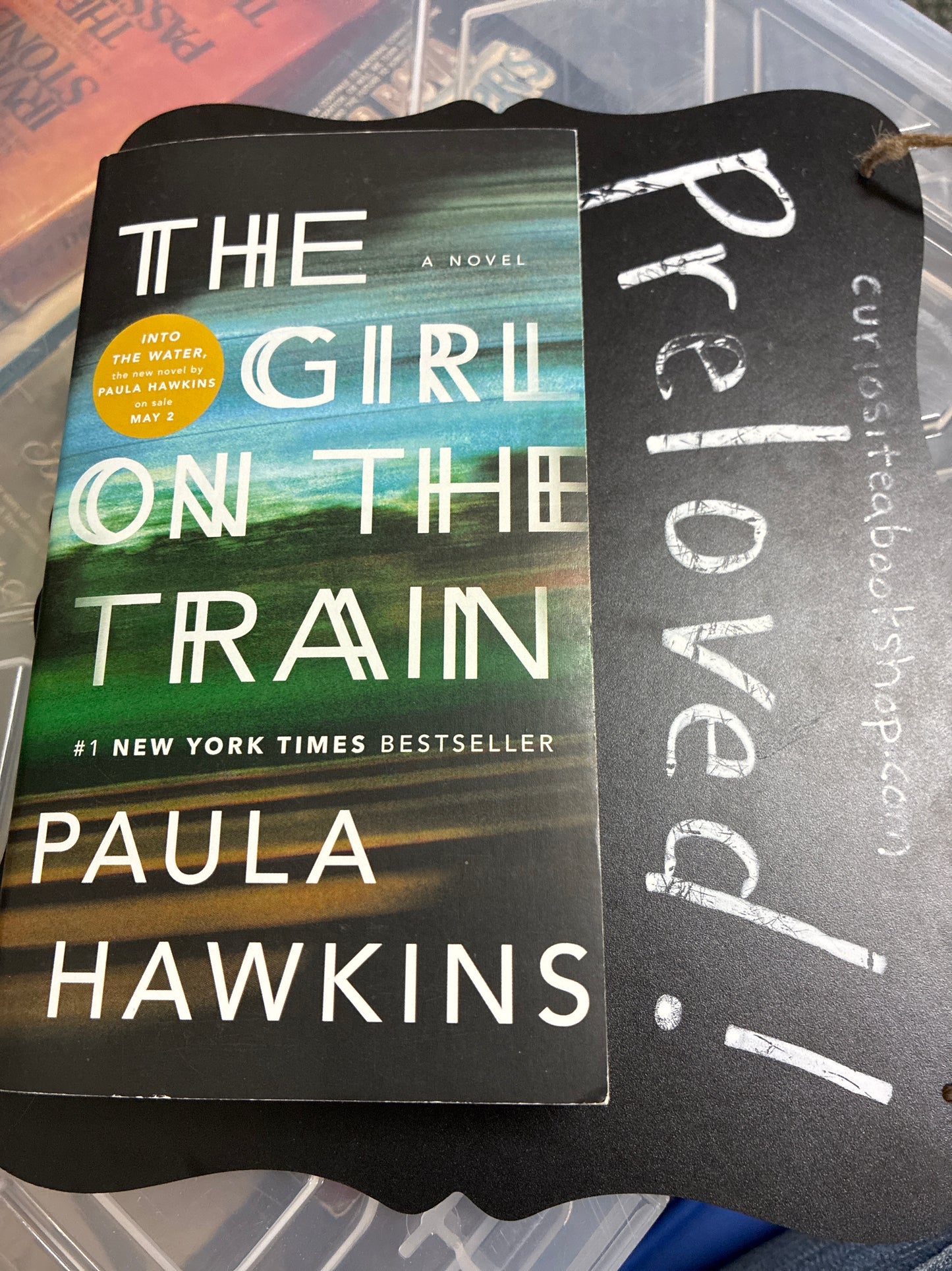Preloved: The Girl on the Train: A Novel