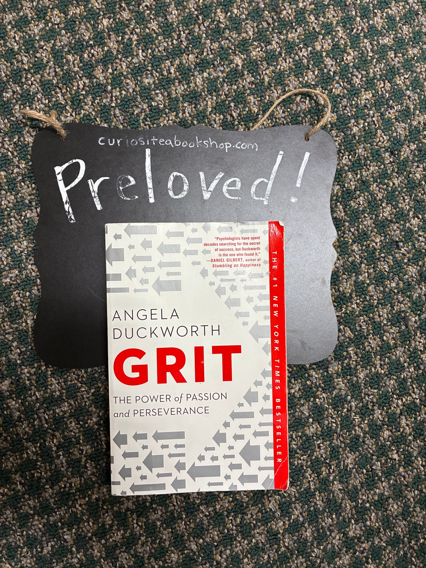 Preloved: Grit: The Power of Passion and Perseverance