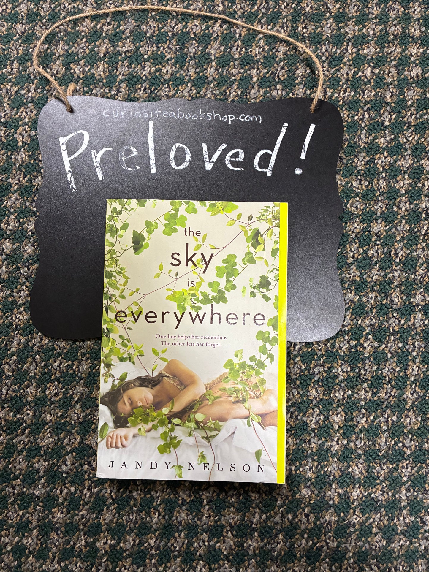 Preloved: The Sky Is Everywhere