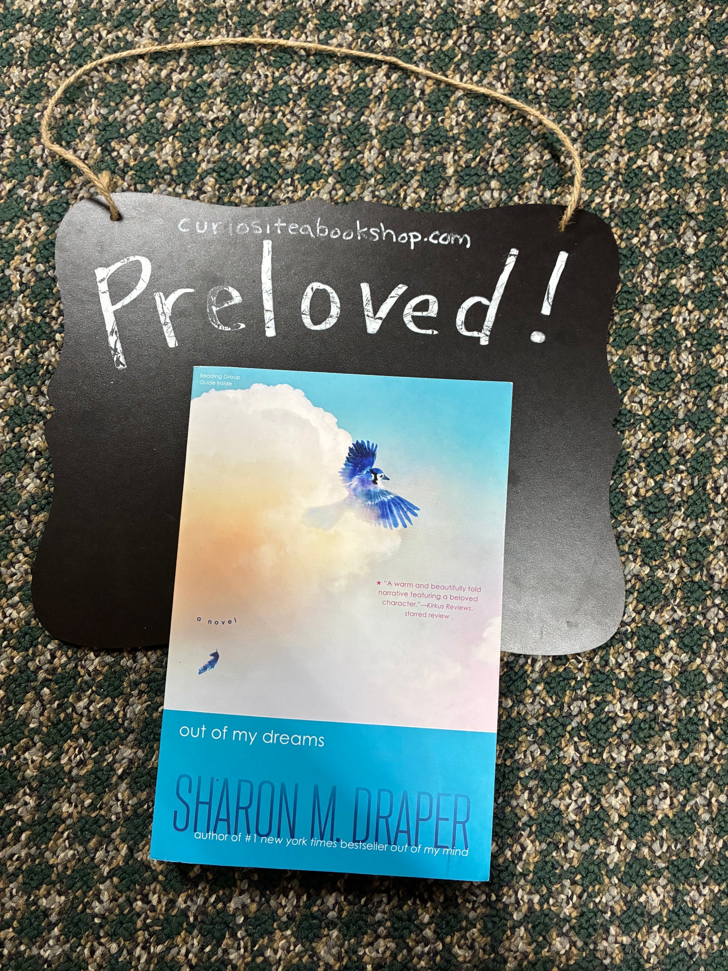 Preloved: Out of My Dreams (The Out of My Mind Series)
