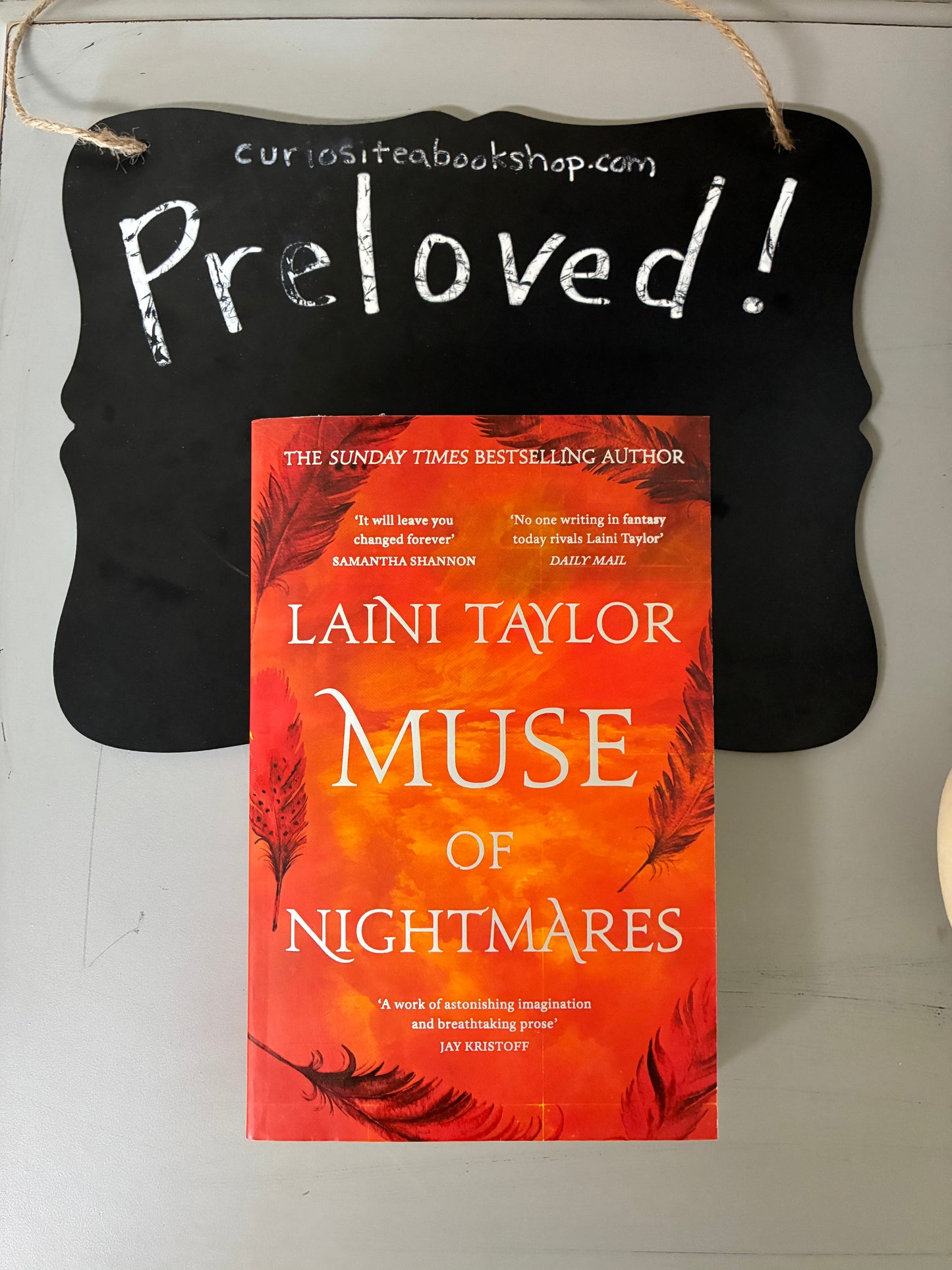 Preloved: Muse of Nightmares: the magical sequel to Strange the Dreamer