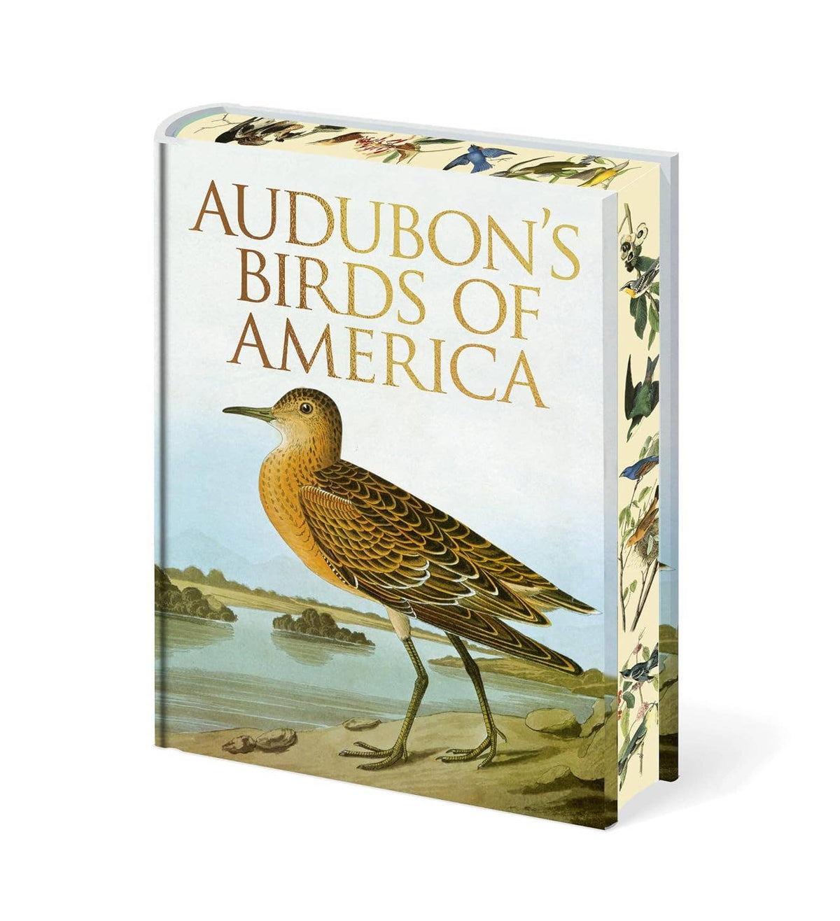 Audubon's Birds Of America (Arcturus Epic Classics)